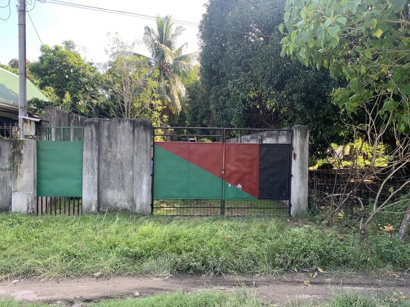 Residential Lot for sale in Dumaguete - image 13
