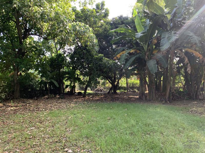 Residential Lot for sale in Dumaguete - image 16