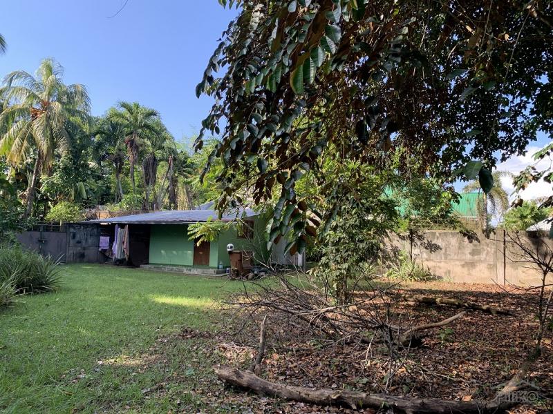 Residential Lot for sale in Dumaguete - image 17