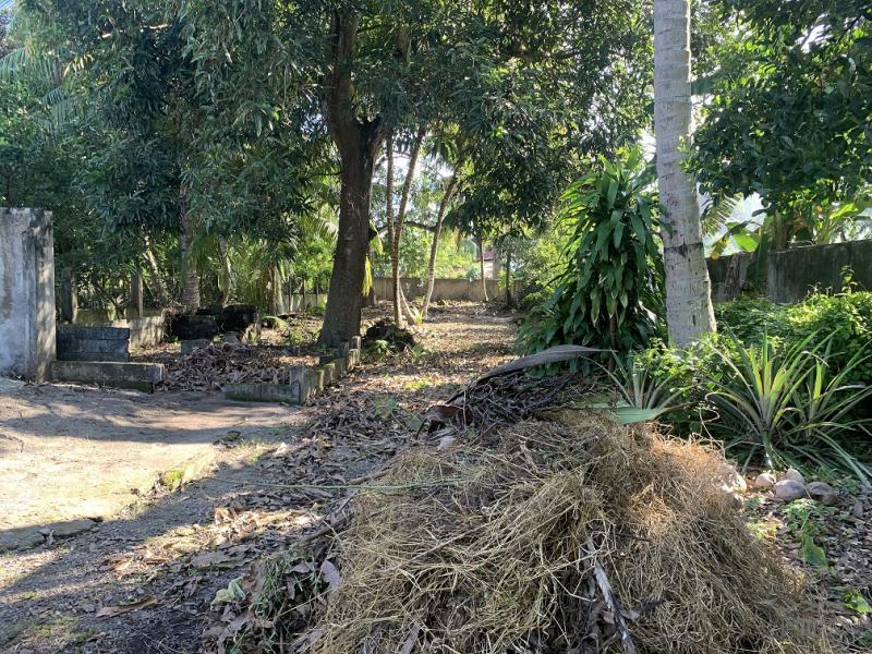 Residential Lot for sale in Dumaguete - image 18
