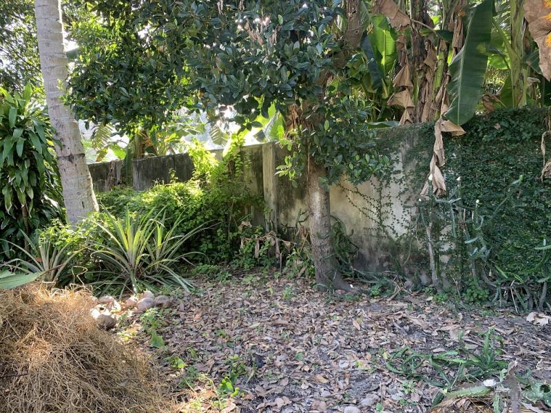 Residential Lot for sale in Dumaguete - image 19