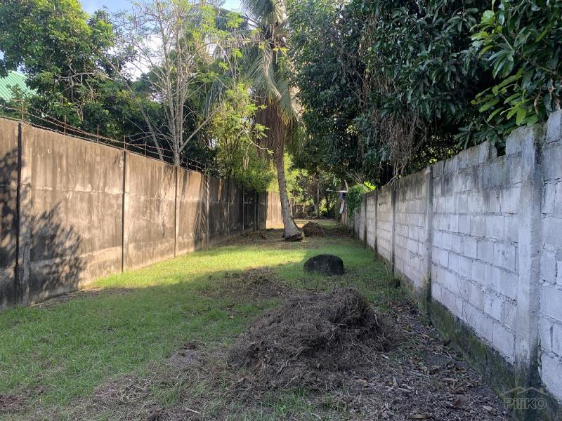 Residential Lot for sale in Dumaguete - image 2