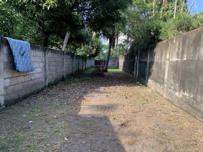Residential Lot for sale in Dumaguete - image 3