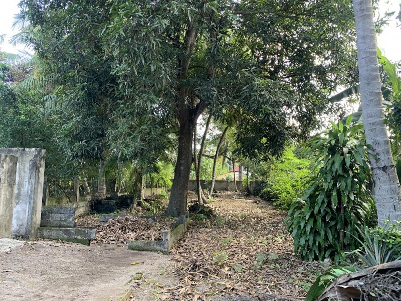 Residential Lot for sale in Dumaguete - image 7