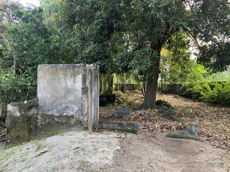 Residential Lot for sale in Dumaguete - image 8
