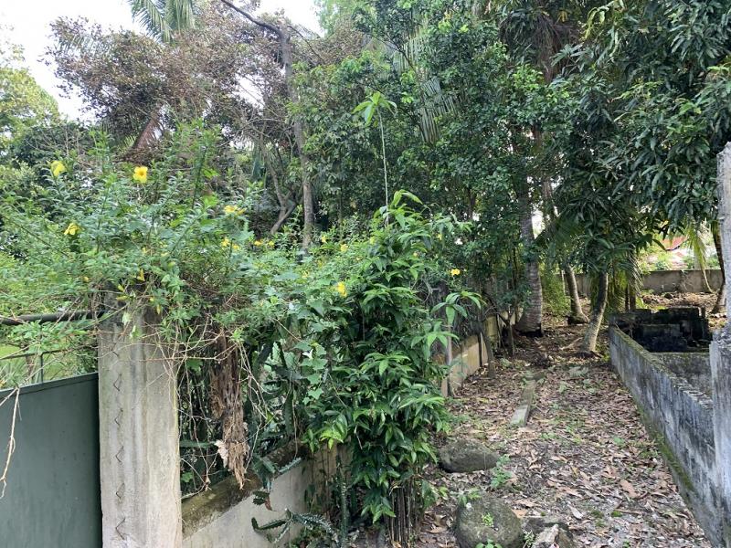 Residential Lot for sale in Dumaguete - image 9