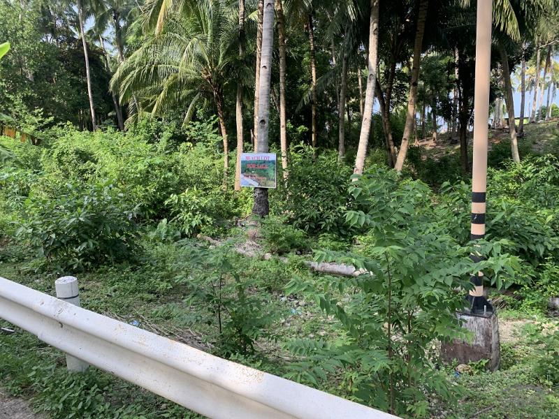 Residential Lot for sale in Maria - image 14