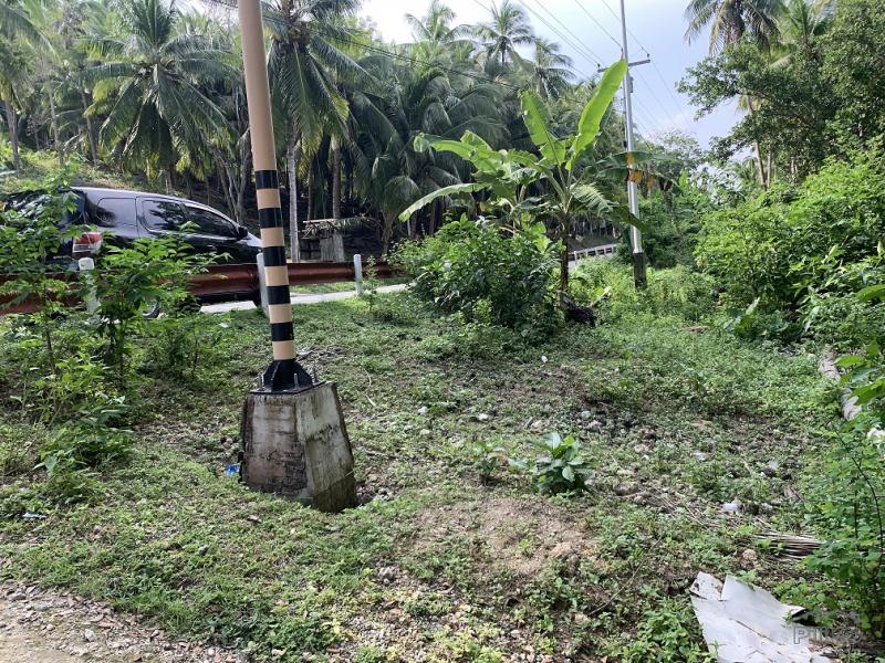 Residential Lot for sale in Maria - image 17