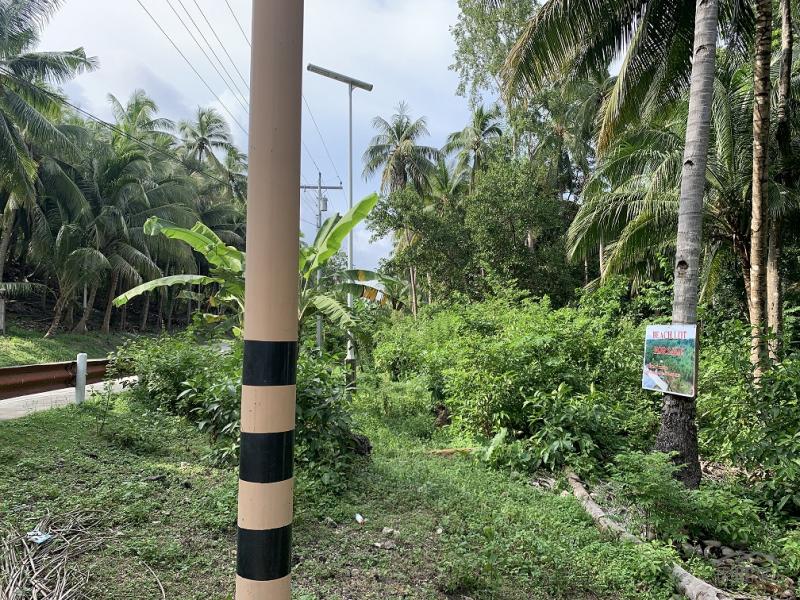 Residential Lot for sale in Maria - image 20