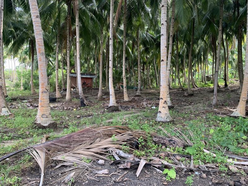Residential Lot for sale in Maria - image 23