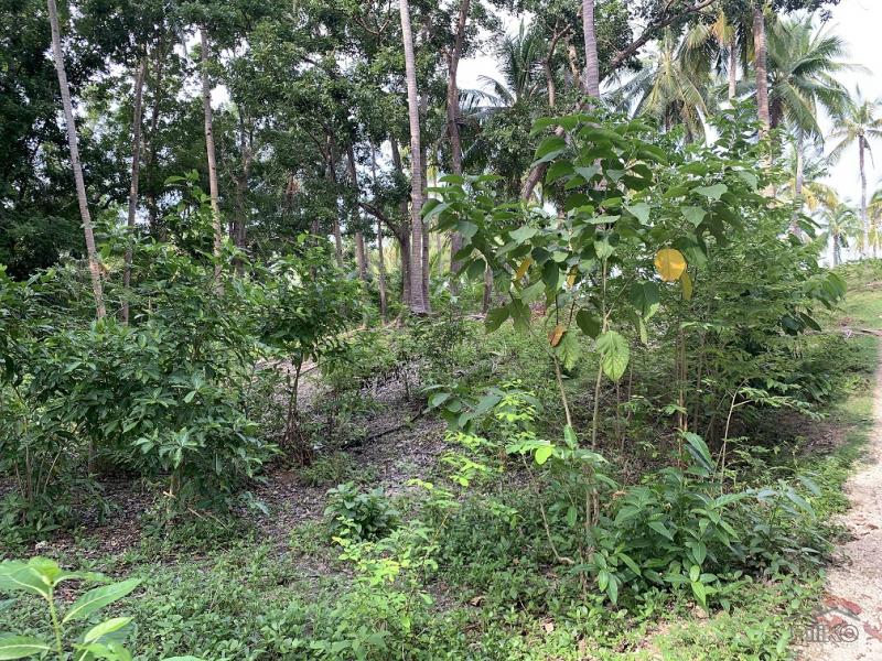 Residential Lot for sale in Maria in Philippines