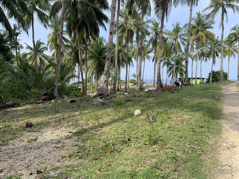 Picture of Residential Lot for sale in Maria in Siquijor