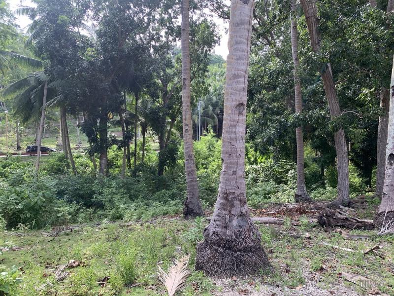 Picture of Residential Lot for sale in Maria in Philippines
