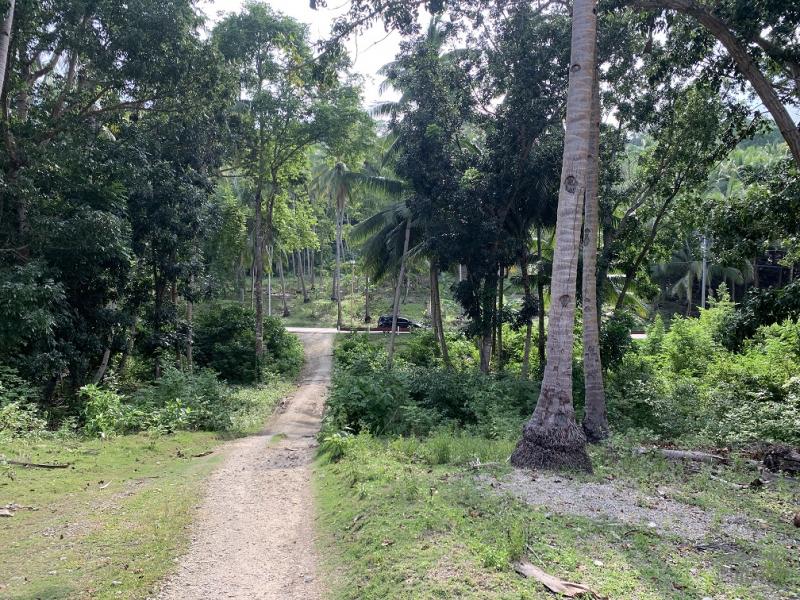 Residential Lot for sale in Maria - image 9