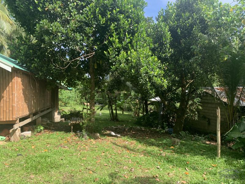 Residential Lot for sale in Valencia - image 10