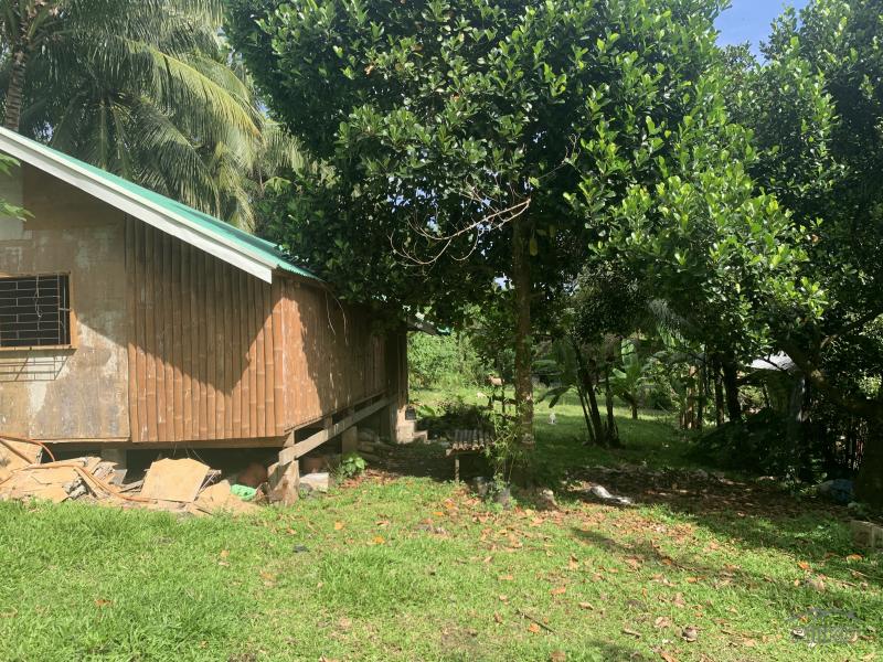 Residential Lot for sale in Valencia - image 11