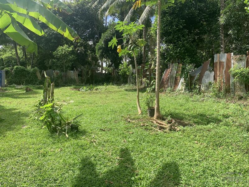 Residential Lot for sale in Valencia - image 13