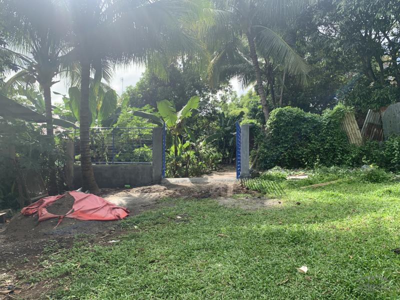 Residential Lot for sale in Valencia - image 15