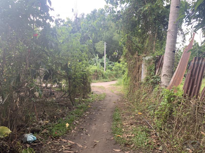 Residential Lot for sale in Valencia - image 3
