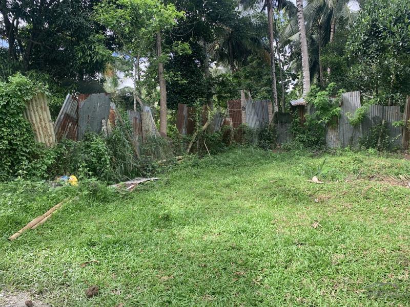 Residential Lot for sale in Valencia - image 8