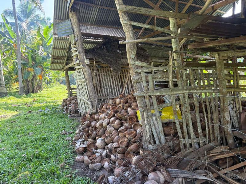 Residential Lot for sale in Dumaguete - image 10