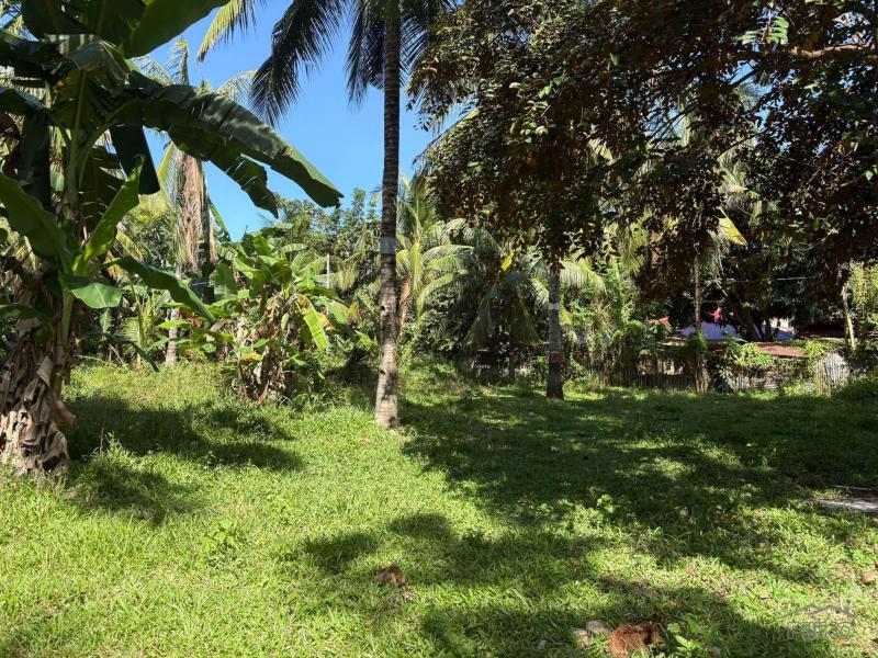 Residential Lot for sale in Dumaguete - image 13