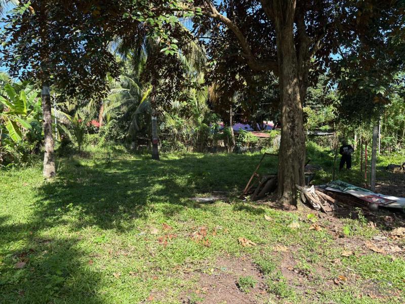 Residential Lot for sale in Dumaguete - image 14