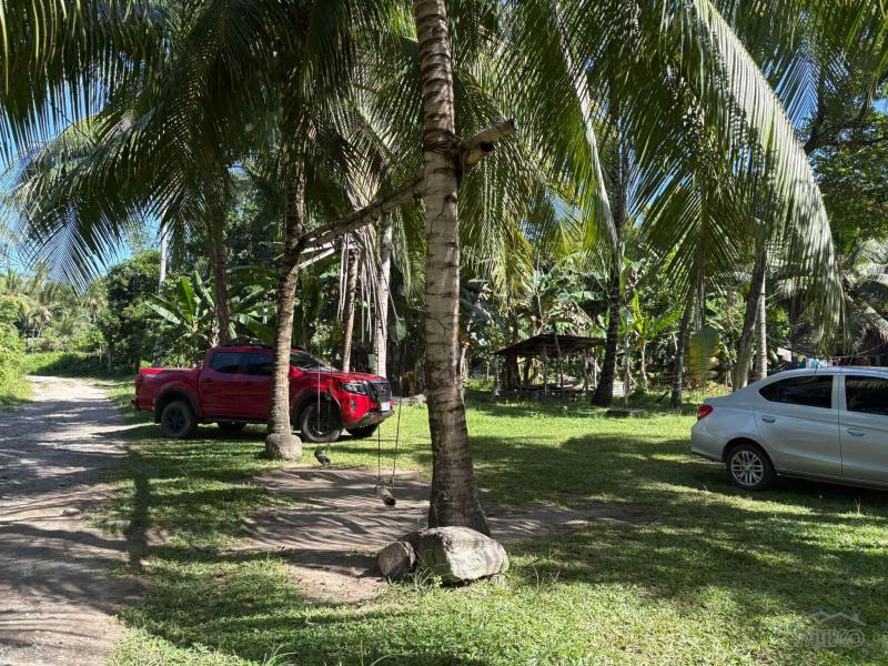 Residential Lot for sale in Dumaguete - image 15