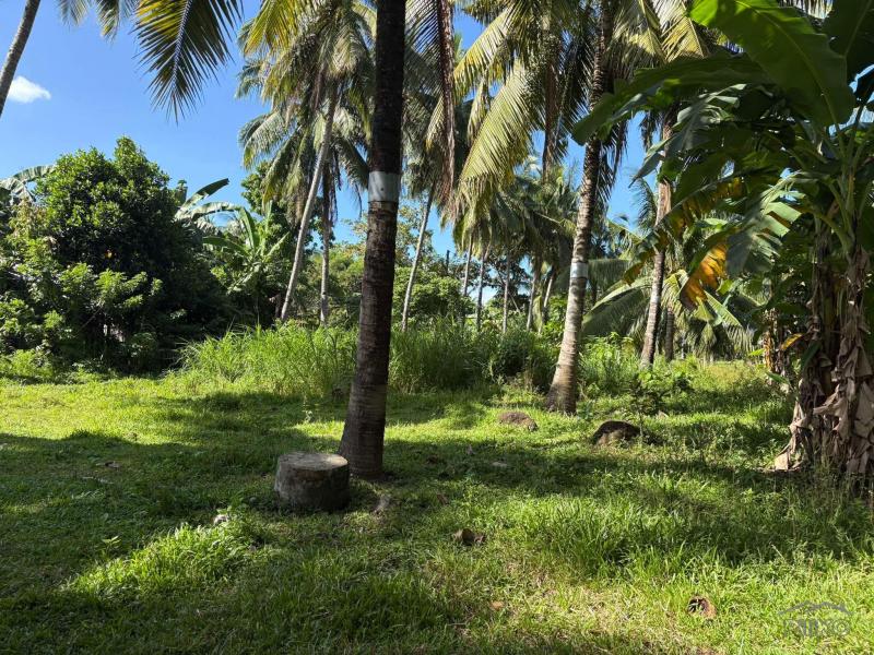 Residential Lot for sale in Dumaguete - image 16