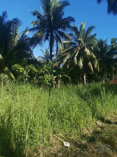 Residential Lot for sale in Dumaguete - image 19