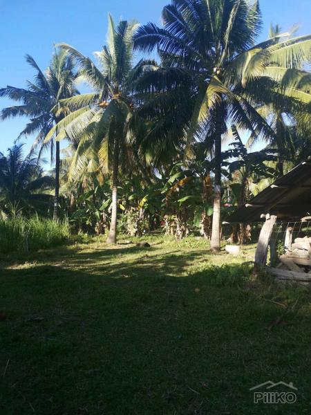 Residential Lot for sale in Dumaguete - image 20