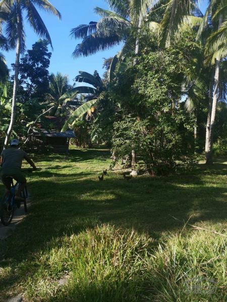 Residential Lot for sale in Dumaguete - image 21