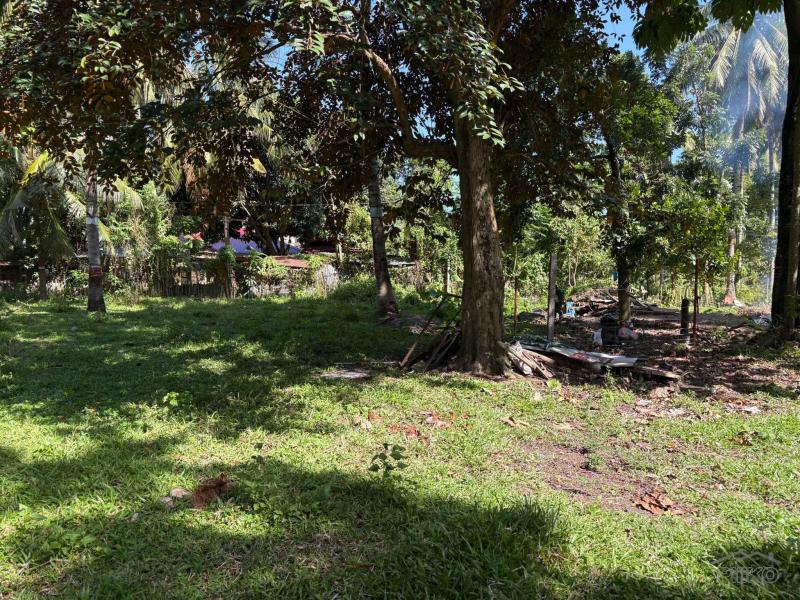 Residential Lot for sale in Dumaguete - image 2