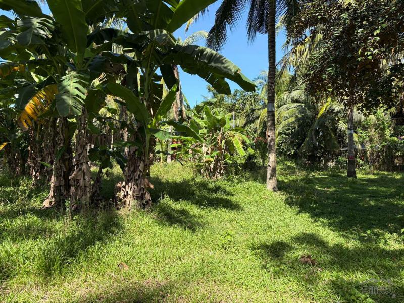Residential Lot for sale in Dumaguete - image 3