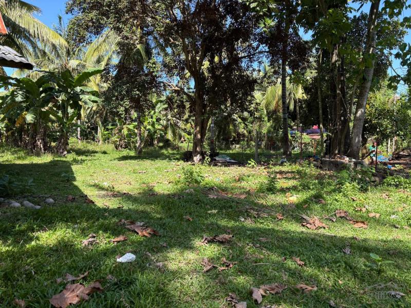 Residential Lot for sale in Dumaguete - image 6