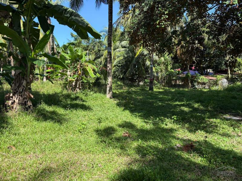 Residential Lot for sale in Dumaguete - image 7
