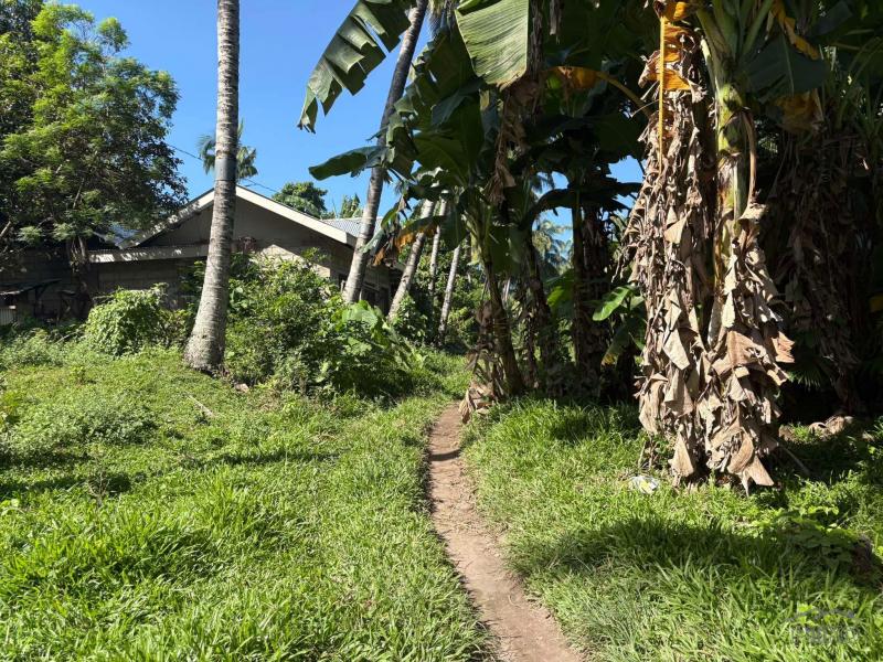 Residential Lot for sale in Dumaguete - image 8