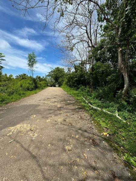 Commercial Lot for sale in San Juan - image 2
