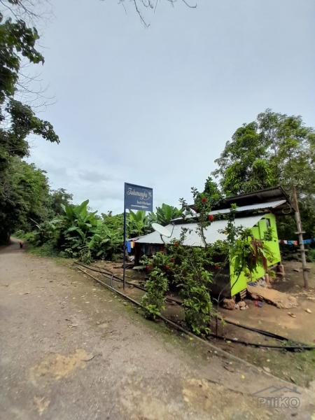 Commercial Lot for sale in San Juan - image 3