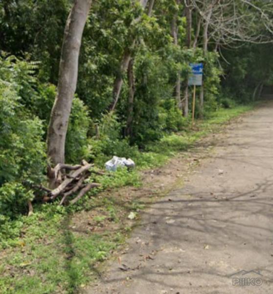 Commercial Lot for sale in San Juan - image 4
