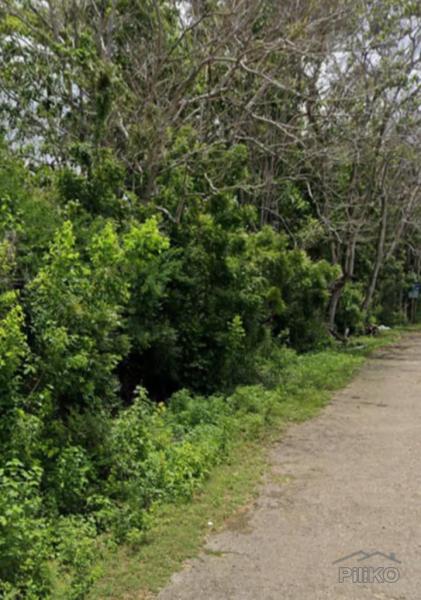 Commercial Lot for sale in San Juan - image 5