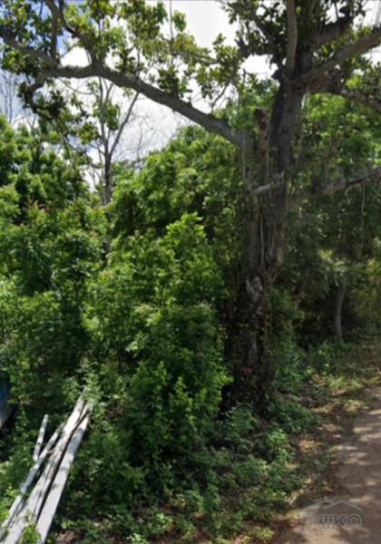 Commercial Lot for sale in San Juan - image 9