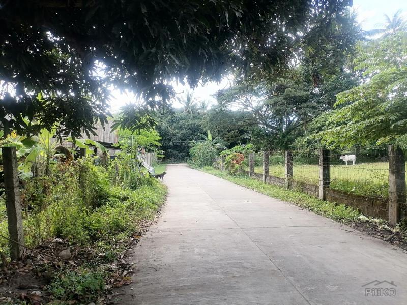 Residential Lot for sale in Valencia - image 10