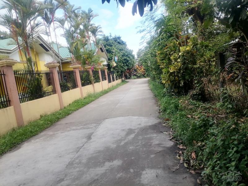 Residential Lot for sale in Valencia - image 11