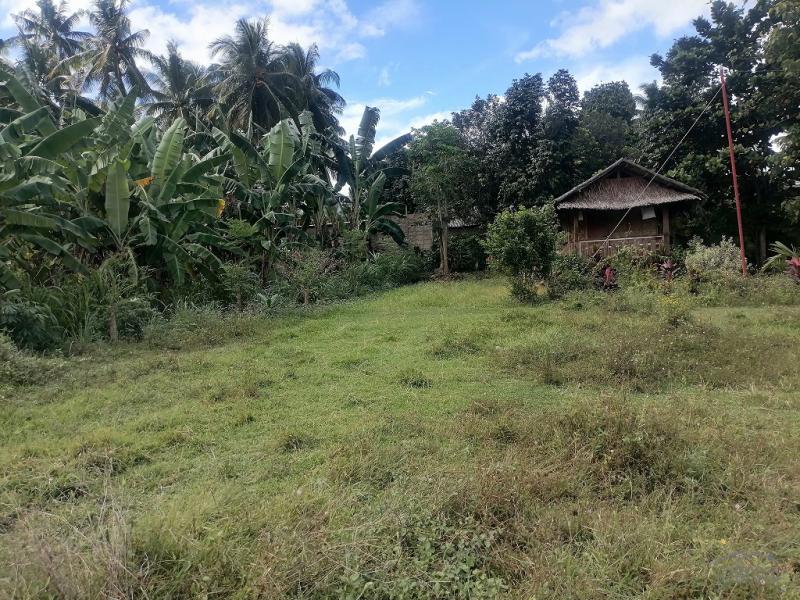 Residential Lot for sale in Valencia