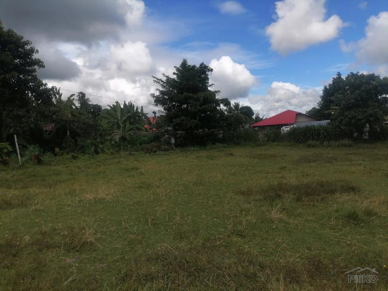 Residential Lot for sale in Valencia in Negros Oriental