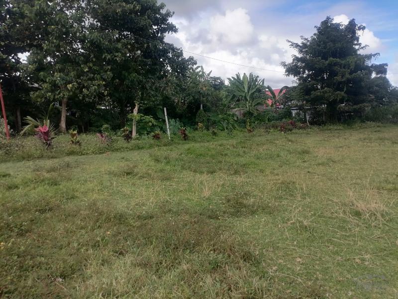 Residential Lot for sale in Valencia in Philippines
