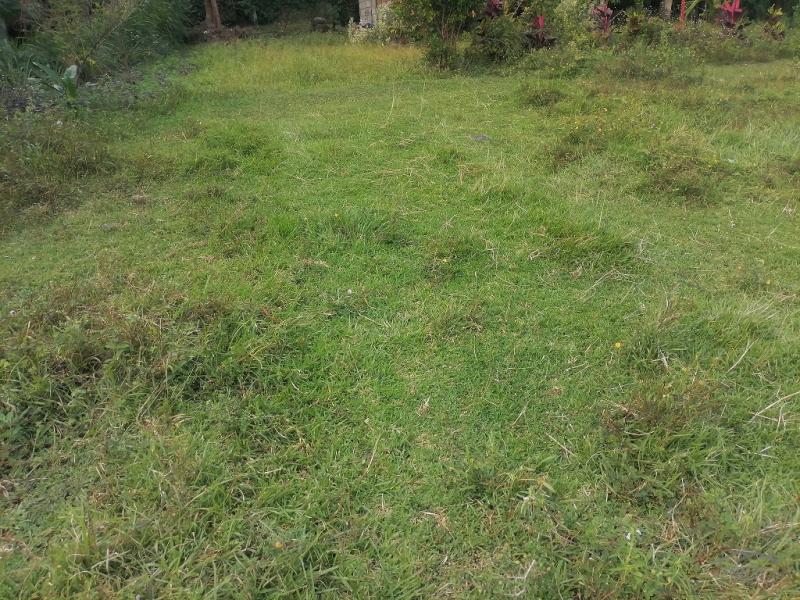 Picture of Residential Lot for sale in Valencia in Negros Oriental