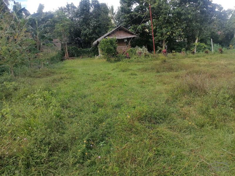 Picture of Residential Lot for sale in Valencia in Philippines