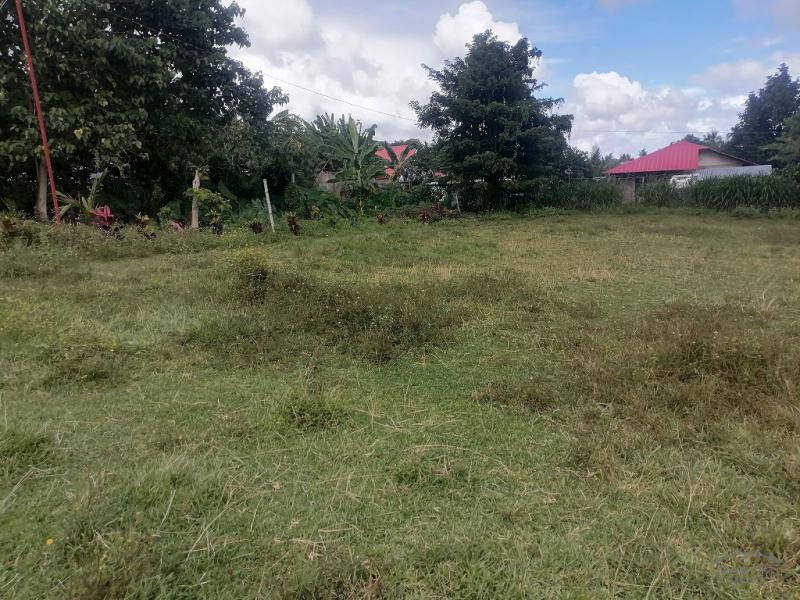 Residential Lot for sale in Valencia in Negros Oriental - image